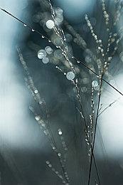 数毛社：PS5 Pro光追不具变革性 但光谱超级分辨率很强